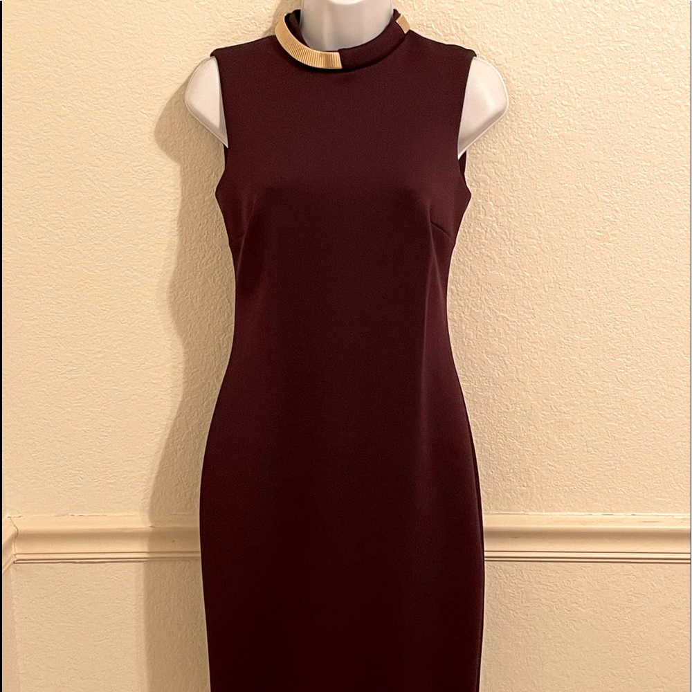 NWT Calvin Klein Plum dress Size 2
